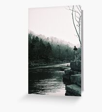Timid Greeting Card