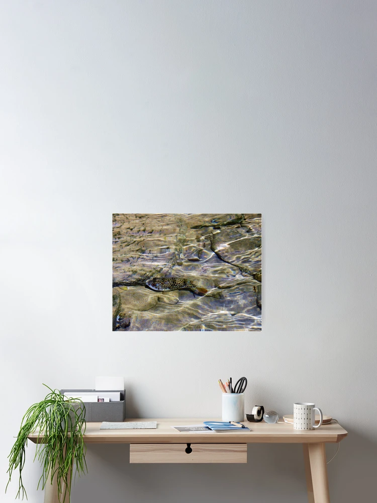 Thumbnail 2 of 3, Poster, Within Shallow Waters designed and sold by Rhonda Taylor.