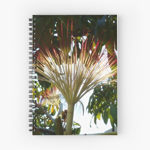 Item preview, tropical beauty - belleza tropical designed and sold by Bernhard Matejka.