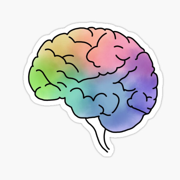 Colorful Brain Sticker