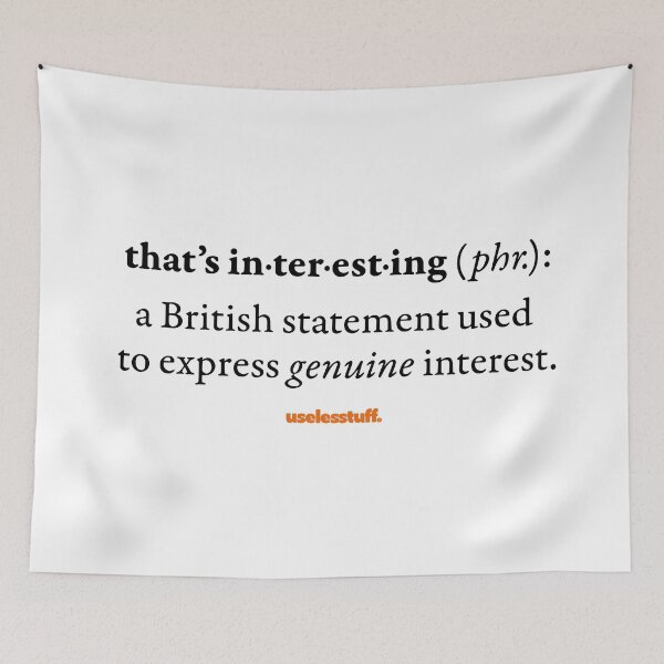 Item preview, 16672-01-BLT – Uselesstuff® Dictionary – That’s Interesting – British (Black) designed and sold by Uselesstuff.