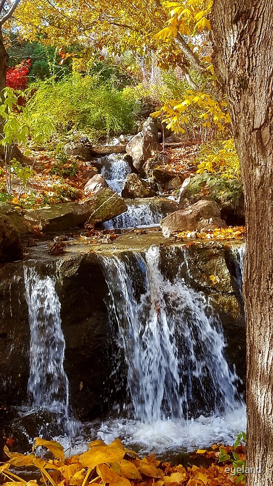 Autumn falls фото