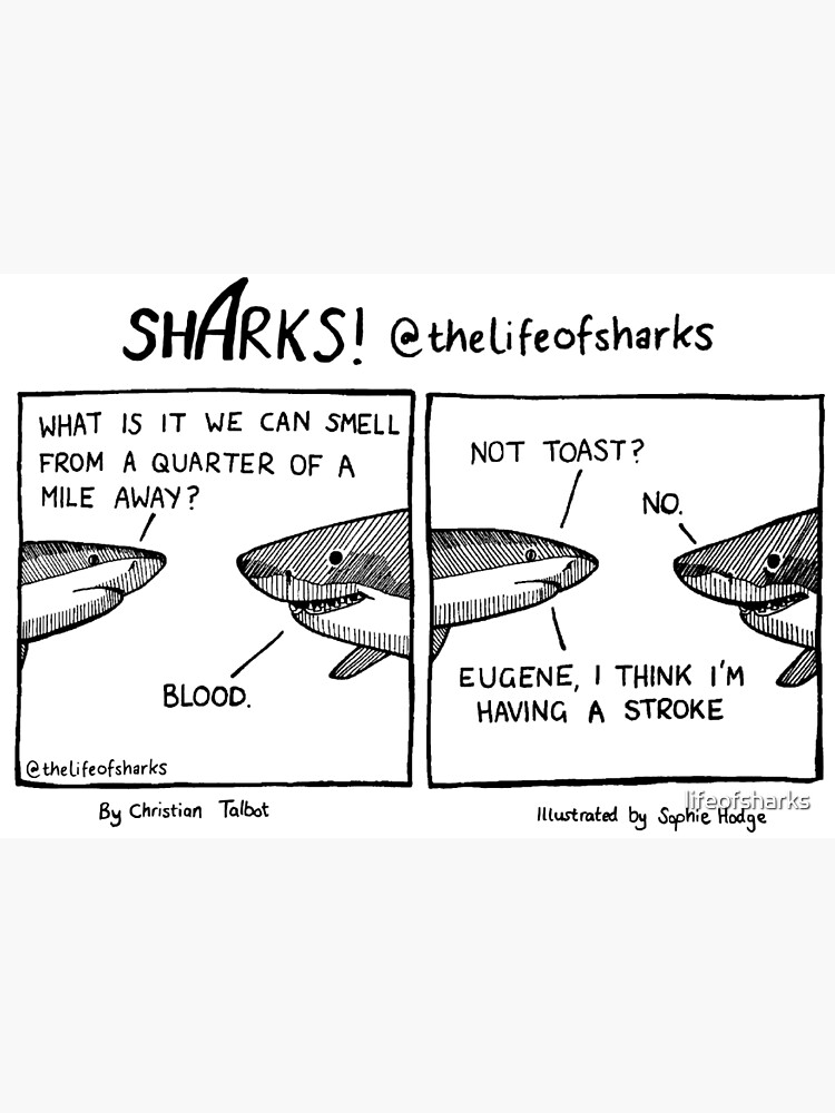The Life of Sharks - Eugene The Life of Sharks - Eugene