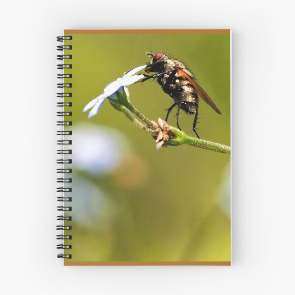 Item preview, -Siberian Bugloss - The Attraction designed and sold by T.J. Martin.