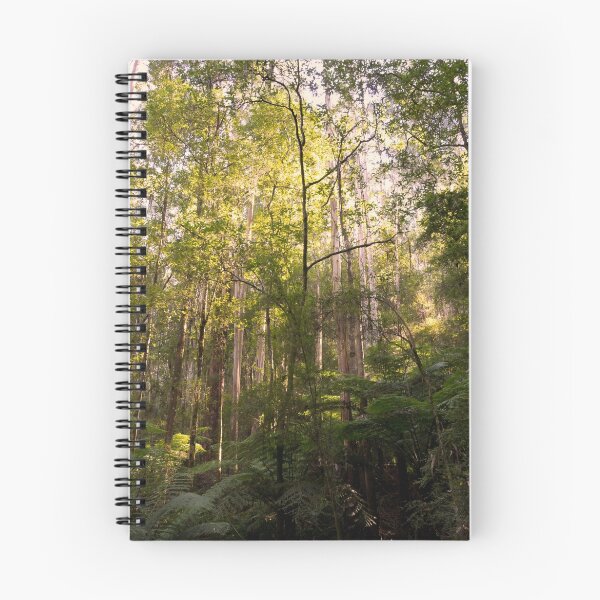 Item preview, Bask in the sunlight designed and sold by Norman Repacholi | Keystone Photography.