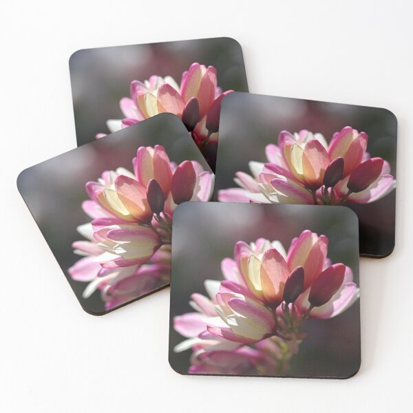 Item preview, Ixia Flowers - Love Of Spring designed and sold by Joy Watson - Natural Light Photography .