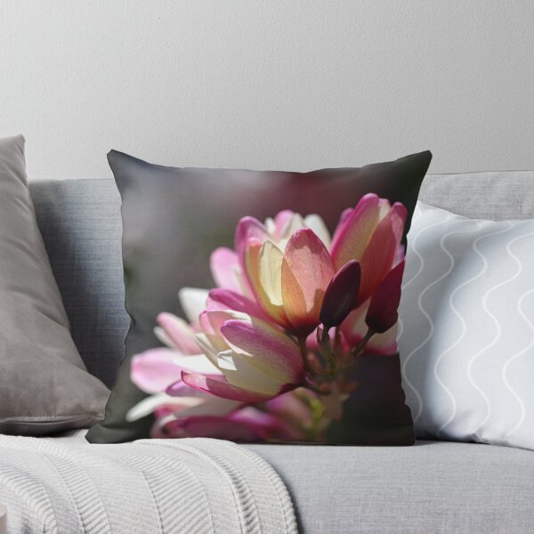 Aperçu de l'œuvre Fleurs Ixia - Amour Du Printemps créée et vendue par Joy Watson - Natural Light Photography .