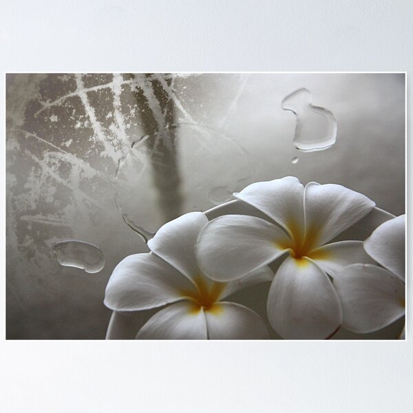 Item preview, Frangipani texture designed and sold by steveyd.