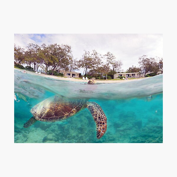 Breathe Photographic Print