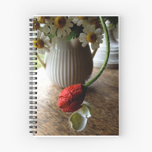 Aperçu de l'œuvre Poppy And Feverfew créée et vendue par Barbara E Wyeth.