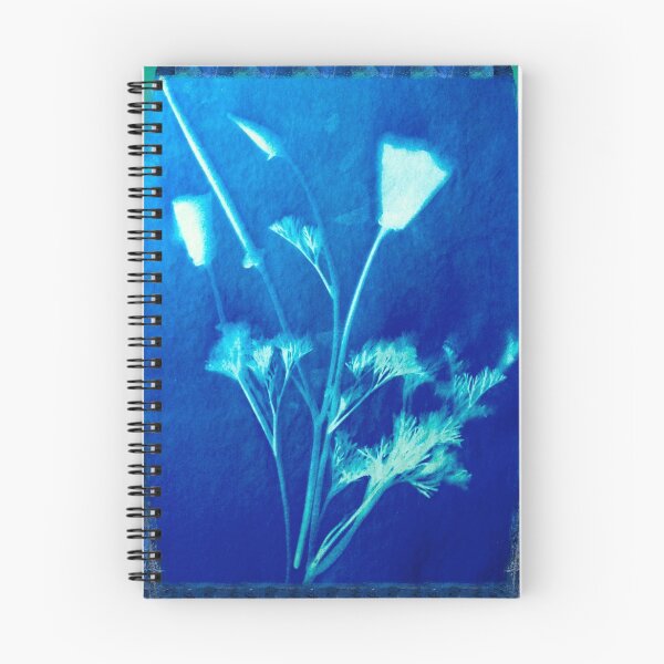 Artikelvorschau, California Poppy Sunprint entworfen und verkauft von Barbara E Wyeth.