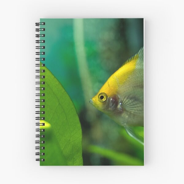Item preview, Fish world designed and sold by Tadas  Svetikas.