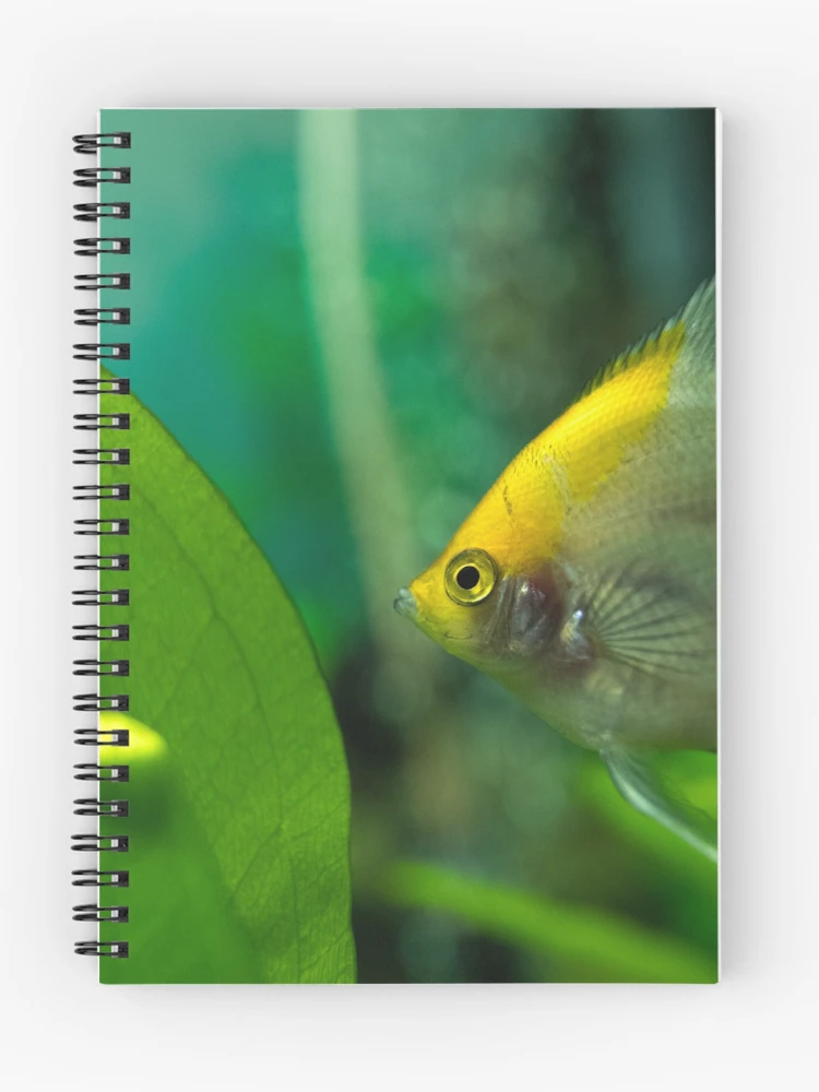Thumbnail 1 of 3, Journal, Fish world designed and sold by Tadas Svetikas.