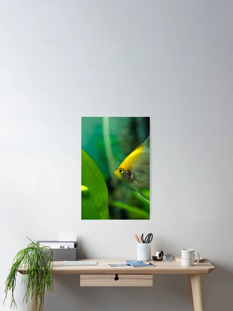 Thumbnail 2 of 3, Poster, Fish world designed and sold by Tadas  Svetikas.