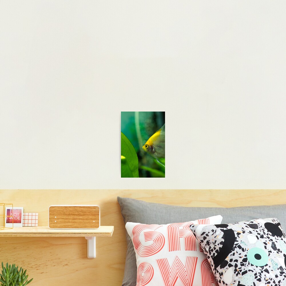 Item preview, Photographic Print designed and sold by SerialSnapper.