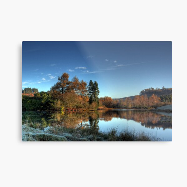 Autumn Reflections II Metal Print