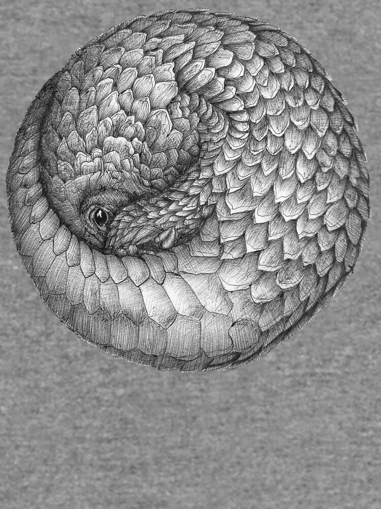 The Infinite Pangolin by ECMazur