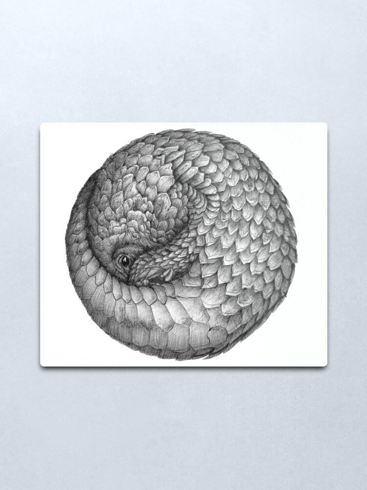 Alternate view of The Infinite Pangolin Metal Print
