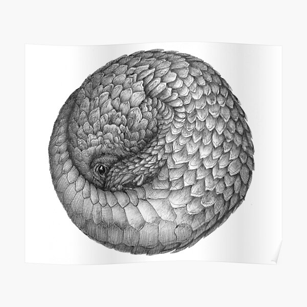 The Infinite Pangolin Poster