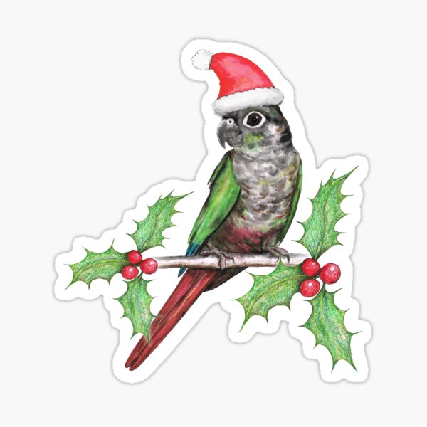 Christmas green cheeked conure  Sticker