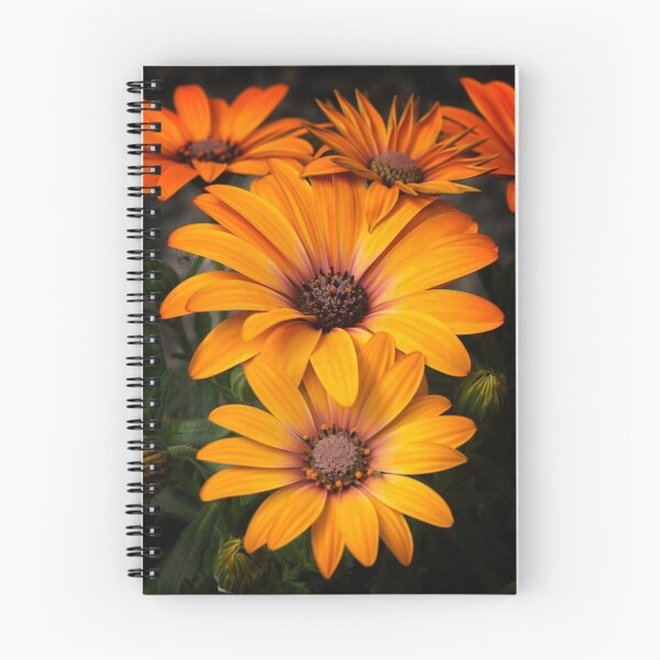 Item preview, Stuck On You designed and sold by Philippe Sainte-Laudy.