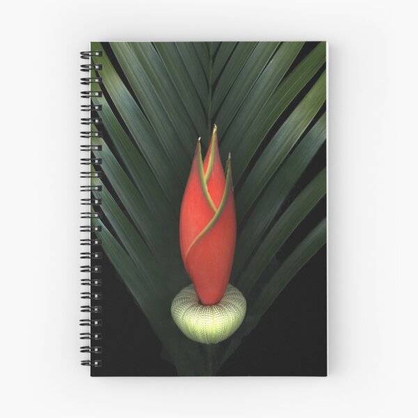 Item preview, Palm of Fire designed and sold by scankunst.