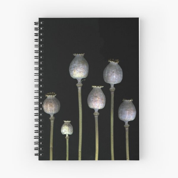Item preview, Poppies designed and sold by scankunst.