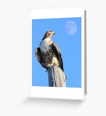 Red-Tailed Hawk and Moon Greeting Card