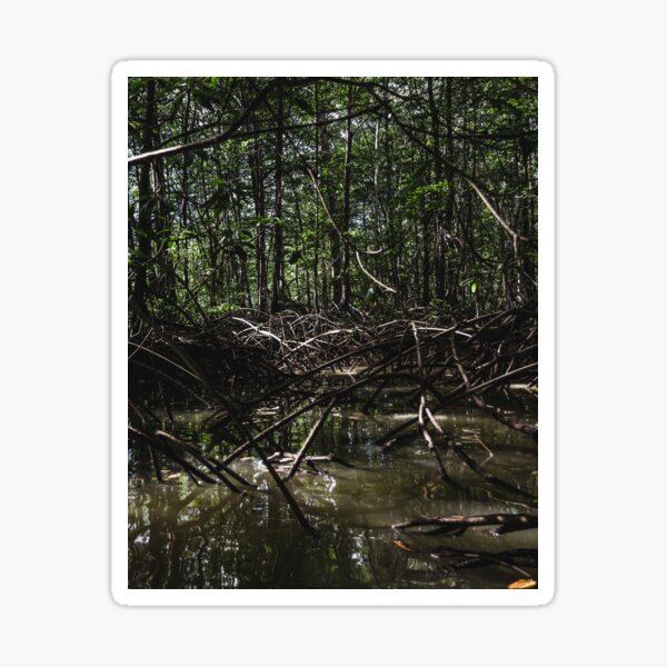 Mangrove Sticker