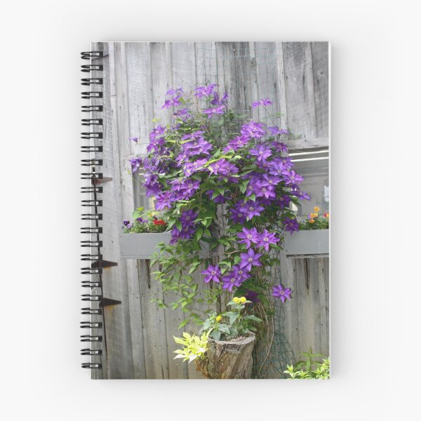 Item preview, BEAUTIFUL PURPLE CLEMATIS designed and sold by Pauline Evans.