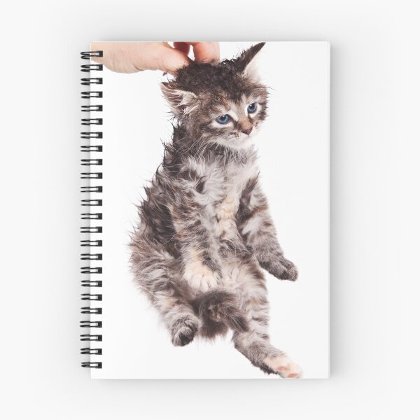 Item preview, kitten held by scruff designed and sold by utekhina.