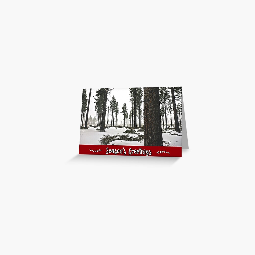 Winter Forest Holiday Card Greeting Card
