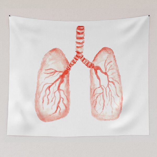 Item preview, Human lungs watercolor designed and sold by AnnArtshock.