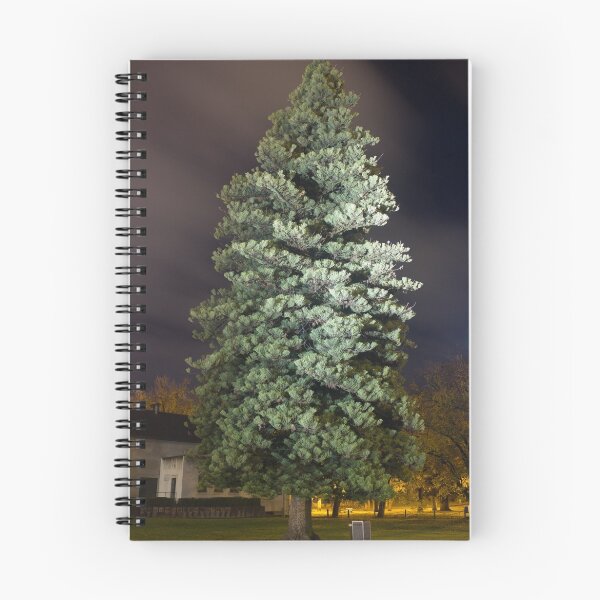 Item preview, Pine tree evening designed and sold by shaynetwright.