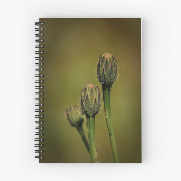 Item preview, New Life designed and sold by Stephen  Van Tuyl.