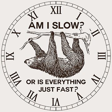 Sloth am I slow Sticker for Sale by ironydesigns