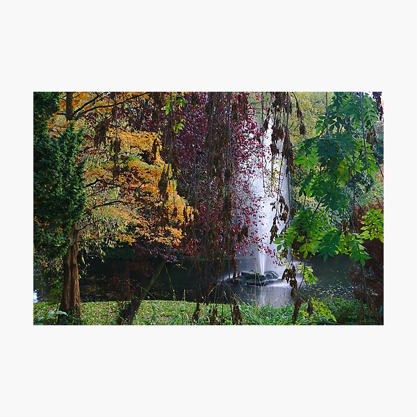 Item preview, Autumn leaves and fountain designed and sold by Steven Tyrer.
