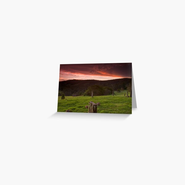 It's Feeding Time Greeting Card
