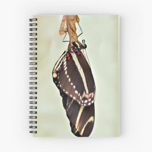 Item preview, New Zebra Longwing Butterfly designed and sold by What I See by Dawne.