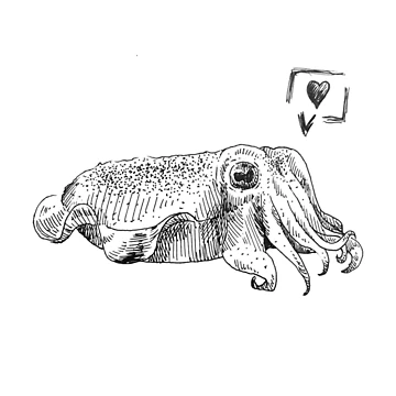 Artwork thumbnail, Cuddle Fish by TheDefectiveOne