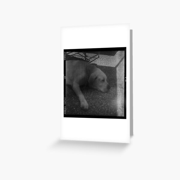good dog Greeting Card