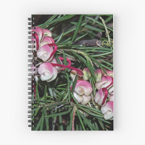 Item preview, Grevillea Leith Park Victoria 20180824 3230 designed and sold by Fred Mitchell.