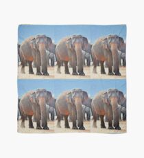 Painted Elephant in the Desert Scarf