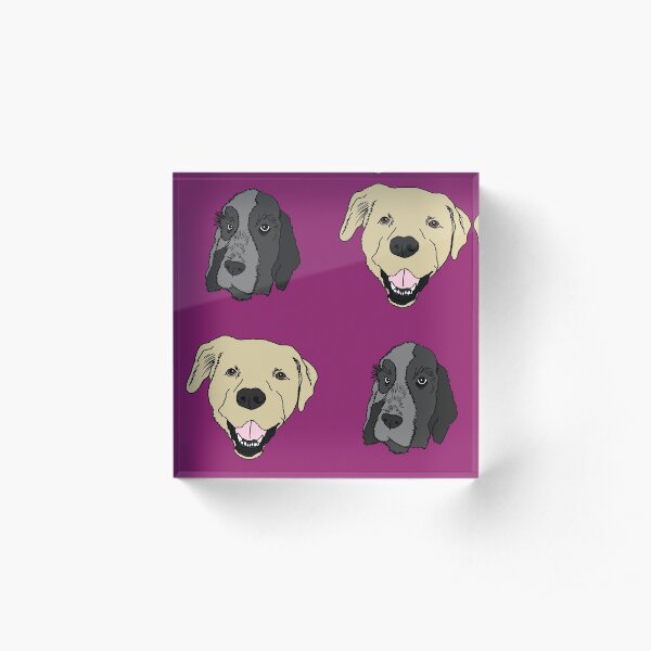 Starring Ash and Tara Acrylic Block