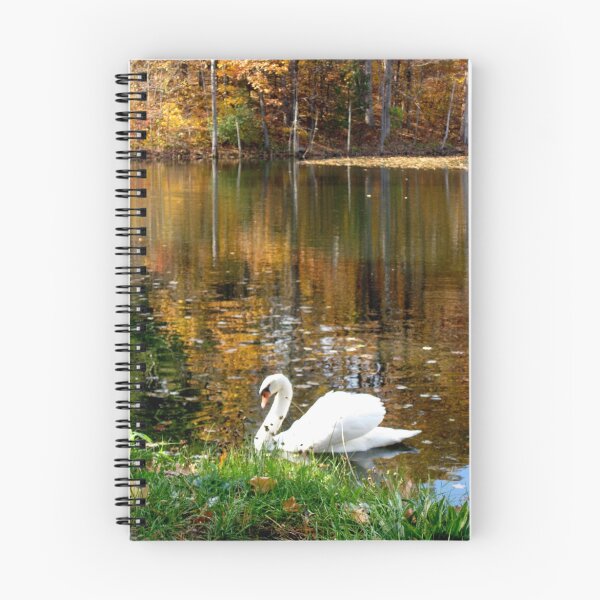 Item preview, Swan Bowing in Fall designed and sold by AlphaEyePhoto.
