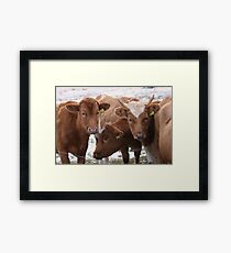 Nice Earrings Framed Print