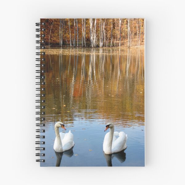 Item preview, Swans in Love designed and sold by AlphaEyePhoto.