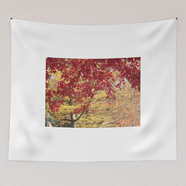 Item preview, Autumn Colors, Jersey City, New Jersey designed and sold by lenspiro.