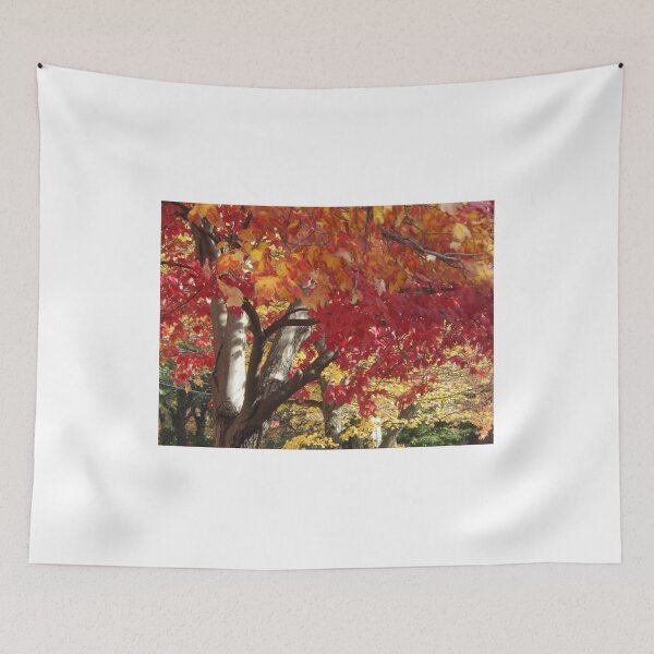 Item preview, Autumn Colors, Jersey City, New Jersey designed and sold by lenspiro.