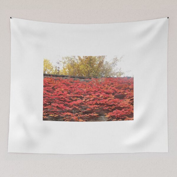 Item preview, Autumn Colors, Harsimus Stem Embankment, Jersey City, New Jersey designed and sold by lenspiro.